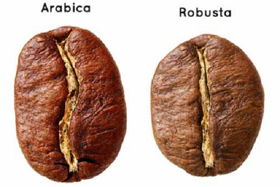 Cà phê Arabica - Robusta hảo hạng 1