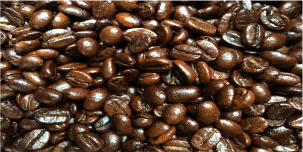 arabica bơ đặc biệt 1