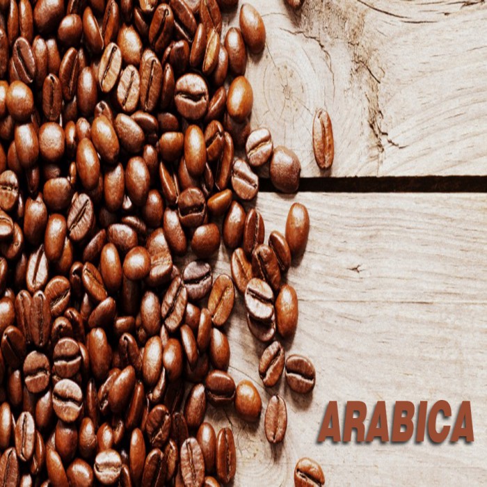 arabica bơ loại 1 chất lượng