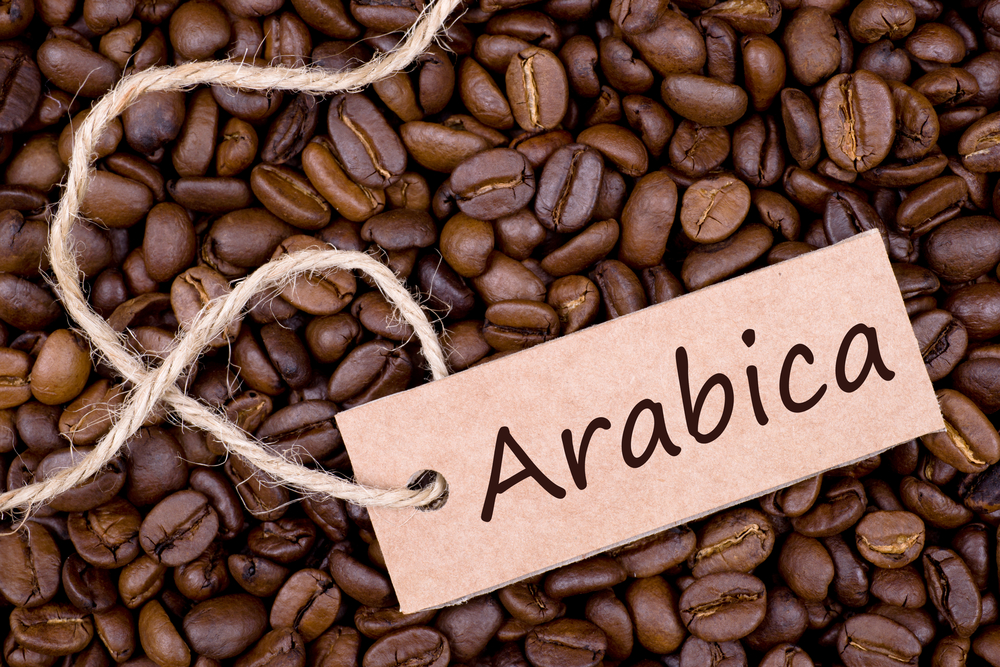 ca-phe-sach-arabica