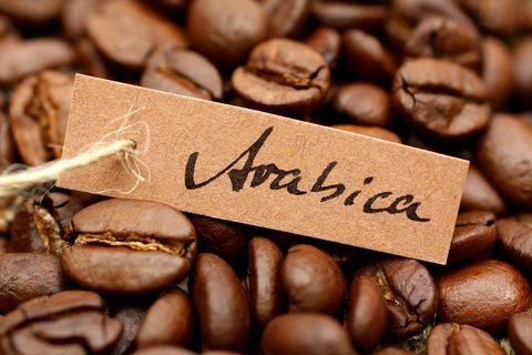 Arabica mộc đặc biệt 1