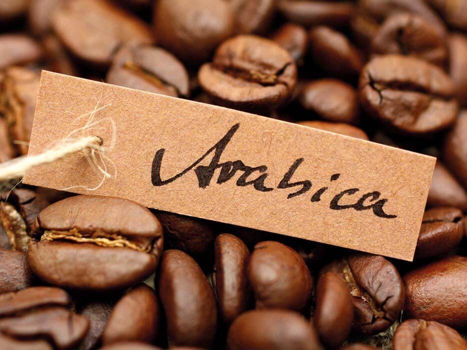 Cà phê Arabica hảo hạng là gì?