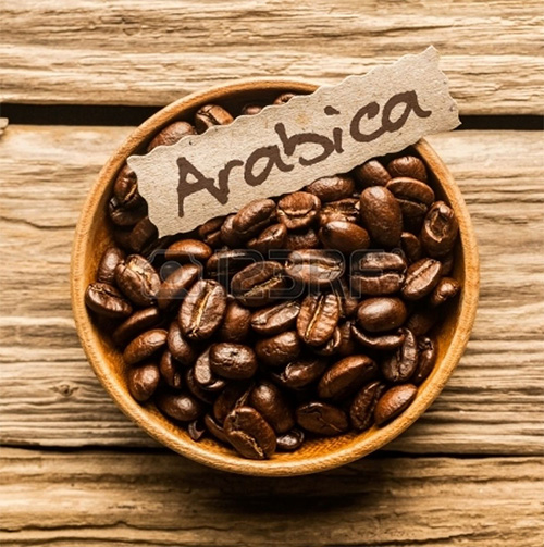 cà phê arabica là gì