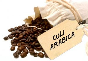 ca-phe-sach-culi-arabica