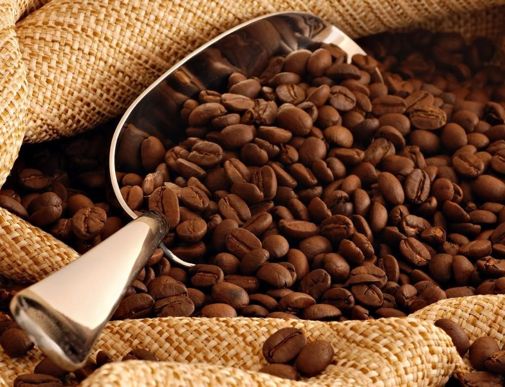 Tìm hiểu cà phê Robusta là gì? Đặc điểm của cafe robusta 2