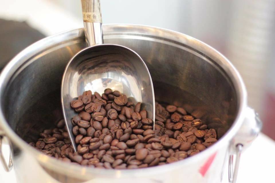 robusta bơ loại 1 có gì đặc biệt