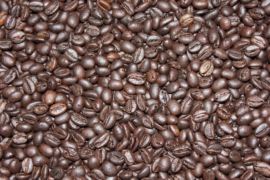 cà phê robusta hảo hạng