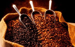 ca-phe-gia-re-co-phai-ca-phe-nguyen-chat-khong (2)