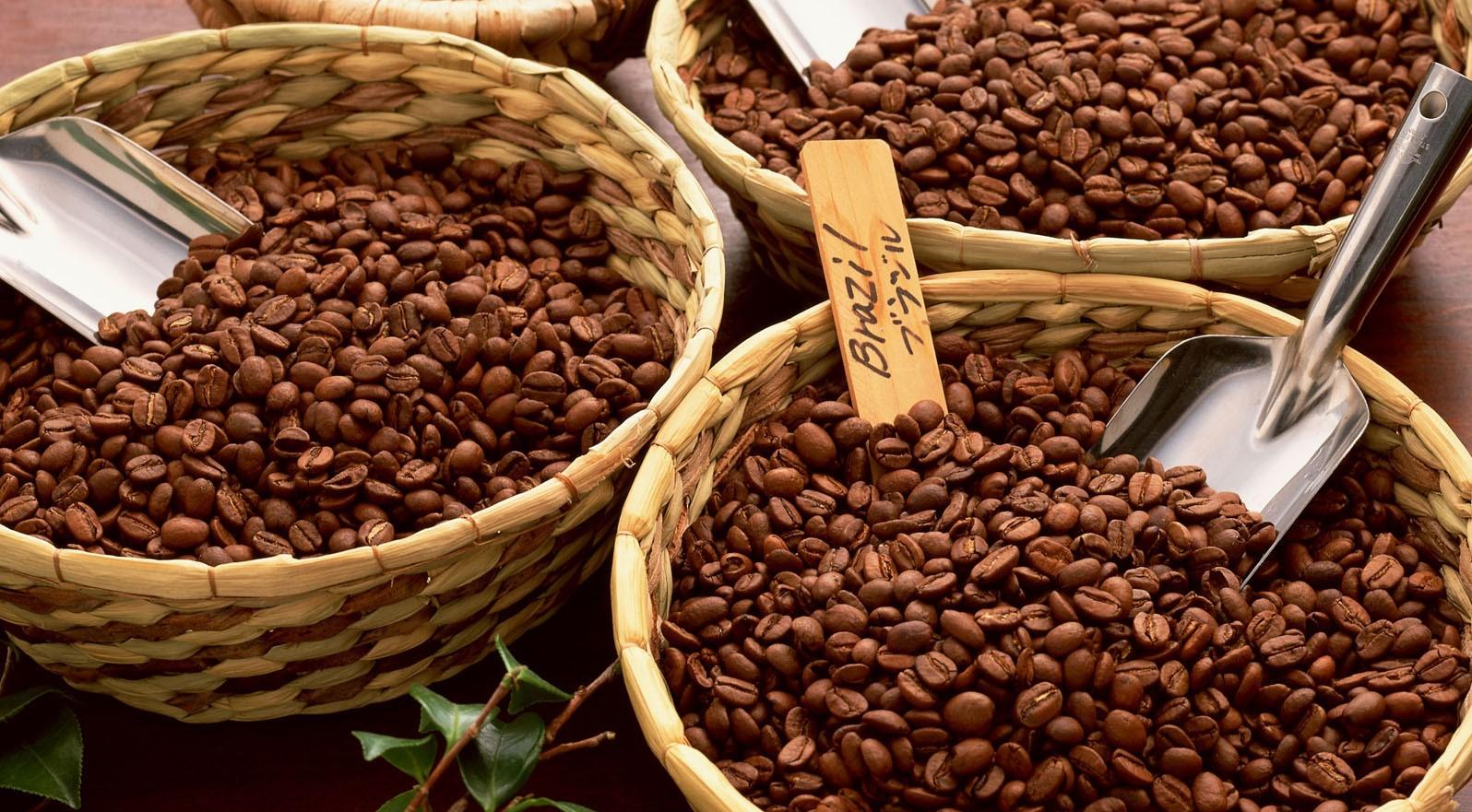 quy trình tạo ra cà phê nguyên chất như thế nào